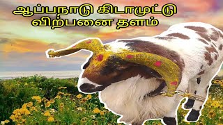 ஆப்பநாடு கிடாமுட்டு விற்பனை தளம் Introduction