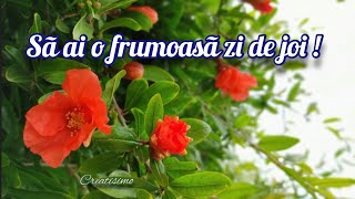 Buna dimineata ☀️O zi de joi minunata !🌺  Mesaje frumoase si urari din suflet pentru tine