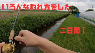 いろんな釣れ方をした二日間！