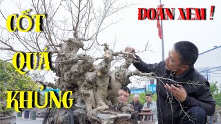 NamLe Bonsai | Định hình cốt sanh giúp một người chú rất yêu cây