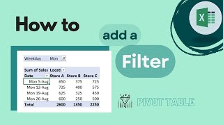 Excel Pivot table: How To Add a Filter