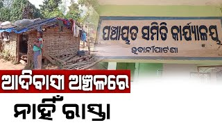 ଆଦିବାସୀ ଅଞ୍ଚଳରେ ନାହିଁ ରାସ୍ତା||  kalahandi || DinalipiLive