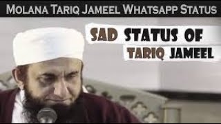 Maulana Tariq Jameel sad  Whatsapp Status About Apne Aib Dekho 