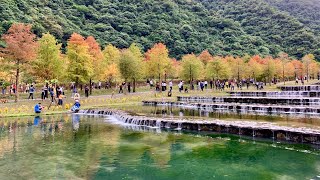 三層坪農塘教育園區