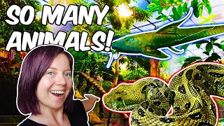 I've NEVER SEEN Some of These Fish and Reptiles! | TOUR of Universeum, Gothenburg!