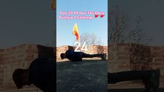 Day 29 Of Our 365 Days Pushup Challenge #challenge #pushups #shorts