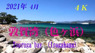 【4K】 2021年4月　【敦賀湾】色ヶ浜　素敵な海！　Tsuruga bay Irogahama  April 26 , 2021