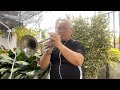 the impossible dream matt monro trumpet cover