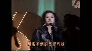 梅艷芳 - 黑夜的豹 (現場勁舞版)