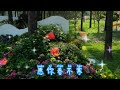 植物园新风景 一起享受大自然的美 被夏日治愈的美好瞬间