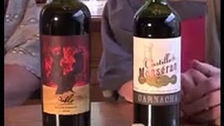 Wine Tasting 101 - Inexpensive Wines - Ep 5 - Garnacha - Castillo de Monseran \u0026 Pablo