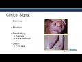 African Swine Fever Overview, Dec. 2021