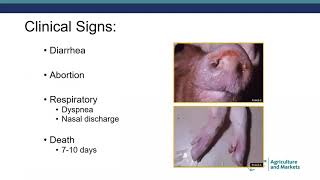 African Swine Fever Overview, Dec. 2021