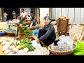 Harvest Mushrooms Grow Under Banana Garden Goes To Market Sell - Grow Vegetable | New Free Bushcraft