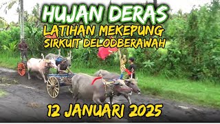 Bagian Ngemulihan .... Latihan Mekepung di Sirkuit Delodberawah, 12 Januari 2025