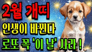 2월 개띠 운세 돈벼락 맞고 모든 빚 청산된다ㅣ풍수ㅣ건강운ㅣ재물운