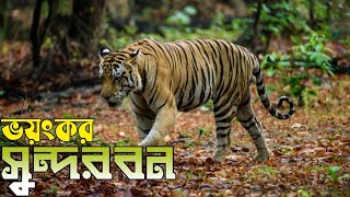 সুন্দরবনের গহীনে যাওয়ার গল্প পর্ব-০২ 🇧🇩 World Largest Mangrove Forest | Sundarban Relax Trip 2024