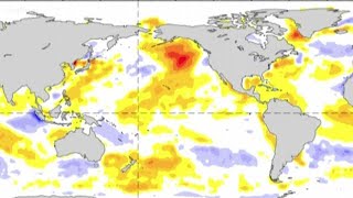 Is a new blob forming off the Washington Coast?
