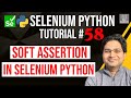 Selenium Python Tutorial #58 - Soft Assertion in Selenium Python Example