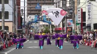 よさこい_夢人～むじん～:ストリート【 木更津舞尊 2017 】