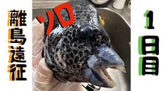 #10   超浅瀬魚突き 🐟初ソロ離島遠征1日目結果は...🥹✨