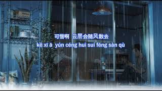 範倪Liu - 可惜啊 【歌詞 lyrics + Pinyin Lyrics】