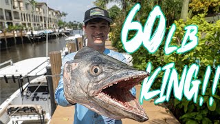 $60,000 KING!! Tournament winning 60lb HEAVYWEIGHT Mackerel battle! 👊