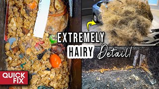 Deep Cleaning a SUPER HAIRY Dog Kennel on Wheels! | Quick Fix