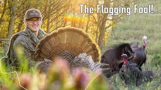 Gobbler FLOGS the Decoy at 12 YARDS | Epic Ohio Turkey Hunt | 2020 Turkey Season