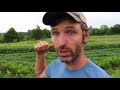 what is dry farming food preservation tips from busy farmers