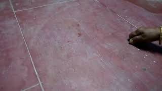 நாலு நாளா புள்ளி புள்ளி கோலம் போடுவது எப்படி இன் தமிழ் | How to put  four dot kolam in Tamil | Usha