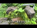 【マチコデラックス】湧水 ニセコ町 ニセコ甘露泉からの湧水