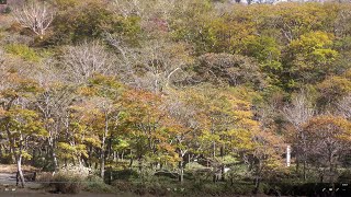 4K動画　赤城山・大沼・覚満淵　２０２１年１０月21日