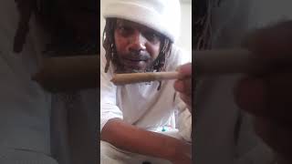 King Ramz 421 (day after 420)