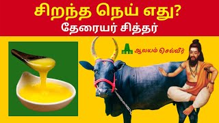 எந்த மாட்டின் நெய் சிறந்தது? தேரையர் சித்தர் | Which Ghee is Best Cow or Buffalo -Theraiyar Siddhar