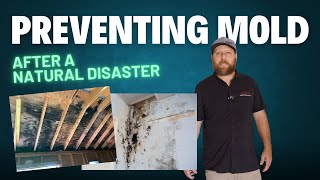 How to Prevent or Mitigate Mold after a Natural Disaster #Hurricane Cleanup Tips