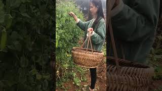 福建泉州是我家乡，只要你不嫌弃我家穷，是农村的，  #countrygirl