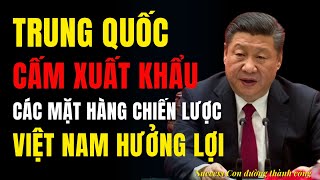 Trung Quốc cấm xuất khẩu các mặt hàng chiến lược vào Mỹ, Việt Nam hưởng lợi như thế nào?