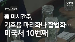 美 미시간주, 기호용 마리화나 합법화...미국서 10번째 / YTN 사이언스