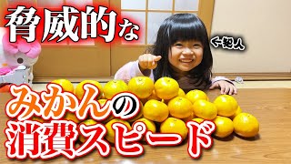 【有田みかん】１週間で7.5kgのみかんを食べる娘【食べすぎ】