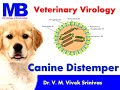 CANINE DISTEMPER | Microbiology | Vivek Srinivas | #Veterinaryscience | #caninedistemper