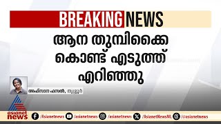 അതിരപ്പിള്ളിയിൽ തൊഴിലാളിയെ ആന തുമ്പിക്കൈ കൊണ്ട് എടുത്തെറിഞ്ഞു