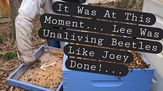 Honeybees In South Louisiana. | A Field Trip To Lee's... Kodiak Farm Bees. #beekeeping