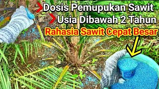 dosis pupuk sawit rotasi pemupukan sawit yang benar