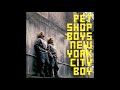 ♪ Pet Shop Boys - New York City Boy [The Morales Club Mix]