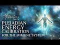 Pleiadian Energy Calibration | For The Immune System | Light Language