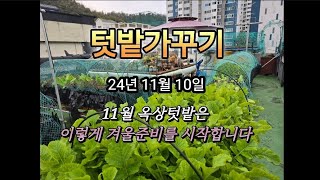 텃밭가꾸기  11월 옥상텃밭은 이렇게 겨울준비를 시작합니다 #옥상텃밭 #텃밭가꾸기 #초록이엄마