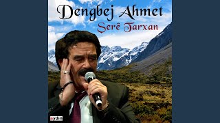 Şerê Tarxan