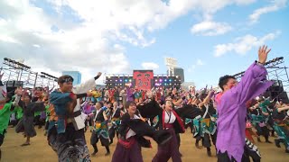 第20回こいや祭り　フィナーレ前エビこい