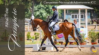 Caballo Akhal Teke, participa del Campeonato Nacional de Dressage, Argentina.